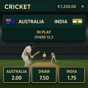 WantedWin - Cricket Betting - Sports Betting