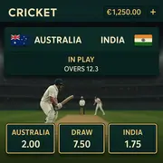 WantedWin - Cricket Betting - Sports Betting